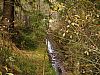 DSC05725.jpg